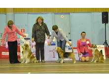 DSC 030200��������.jpg