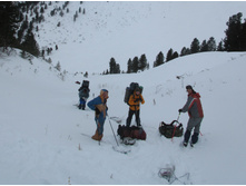 ����� ������ ������