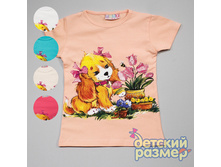 215�