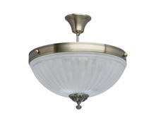 317013705 11420�.jpg