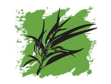 137 ���. ������� ����� �������� ����������