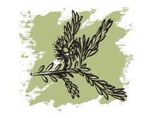 166 ���.  ������� ����� ������ ������ 5 ��