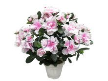 ���.����. ������ � ������, ����-������� ��22847�-�. 1088 ���.jpg