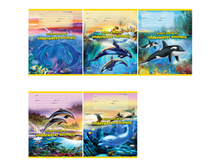 ������� 18�. ������ ������� � �������� 8,92.jpg