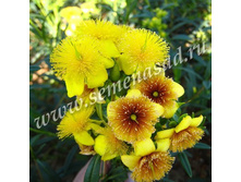 �������� ���������� �����.jpg