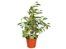 ����� ������� 14�55. 354,9 ���.jpg