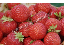 ��������� ������� ��������.jpg