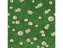 ����� �������.gif