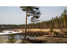 IMG 20160410 091608.jpg