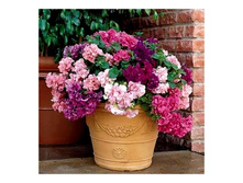 �������� � ��������. ��.��� 45,50 ���.[���.��768]