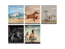 ������� 48�. �5 ������ ������. Inspire, ����-��� 18,34.jpg