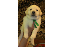 1 �����.jpg