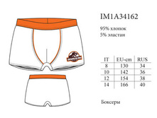 143,28 IM1A*34162 Dino