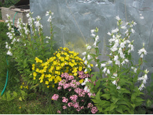 ����� 078.jpg