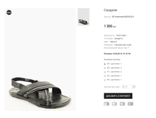 SP Anemone M921E-32-1.png