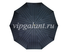 ������� ���� Dolphin 260 (4).jpg