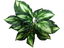 ���.����. ����� � ������, ����-������� �33027�-�. 33 ��. 380,8 ���.jpg