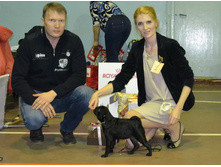 ������ ���� ��������