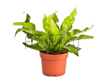 ��������� ������� 12�26. 222,6 ���.jpg