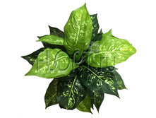 ���. ����. ����������� 746-40. 40 ��. 707,21 ���.jpg