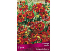 �������� ������� �������� ����� 101,0.jpg