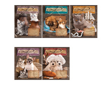 ������� 24�. ������ ��� � ��� 13,18.jpg