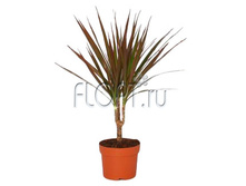 ������� ������� 1���. 11�45. 158,55 ���.jpg