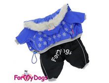 Zimniy kombinezon dlya malenkih sobak 143 .png