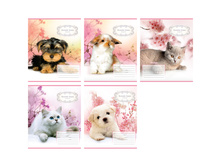 ������� 12�. ����� �������. Romantic season 6,77.jpg