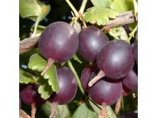 ��������� ������� (V2-3�).jpeg