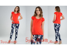 ������ P*G B*L 2*43 T*K 69*6