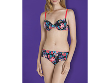 519,55  	����������� Push-up ���. Breya ������� 26971*1