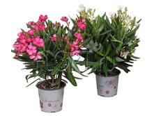 ������� 14�40. 652,05 ���.jpg