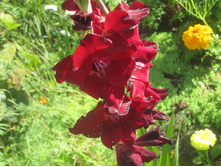 ����� 1015.jpg