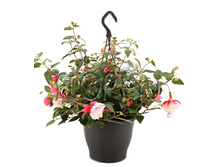 ������ ��� ������ 23�35. 649,95 ���.jpg