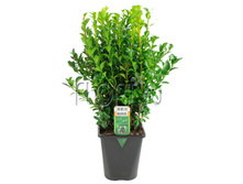 ������ ���� 12�30. 126 ���.jpg