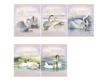 ������� 48�. �5 ������ ������ 17,18.jpg