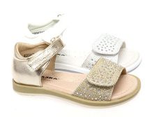 R2082106*38WG.jpg 861+%