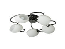 267013105 3100�.jpg