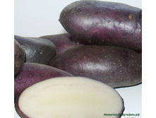 ��������� ������� 40���. �� 1�� (���������� �� 3 ��, �� ����� � �� 1��).jpg