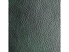 ���� 2005.jpg