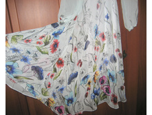 IMG 7102.JPG