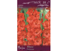 ��������� ������ 89,0