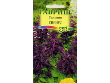 ������� ������ ���������� ������ 10,98 ���.[���.3003817]