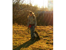 IMG 20160417 173305.jpg