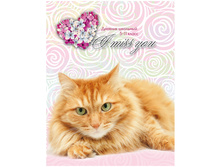 ������� 5-11 ��. 48�. (�������) ����� �������, �������, �� ������� 55,25.jpg