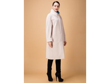 ���. ����