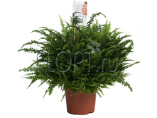 ���������� ������ 17�60. 488,86 ���.jpg