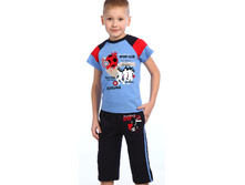 ������ ���������