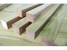 ���� ����� ����������